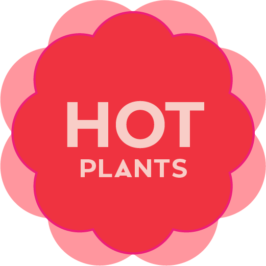 Hot Plants 