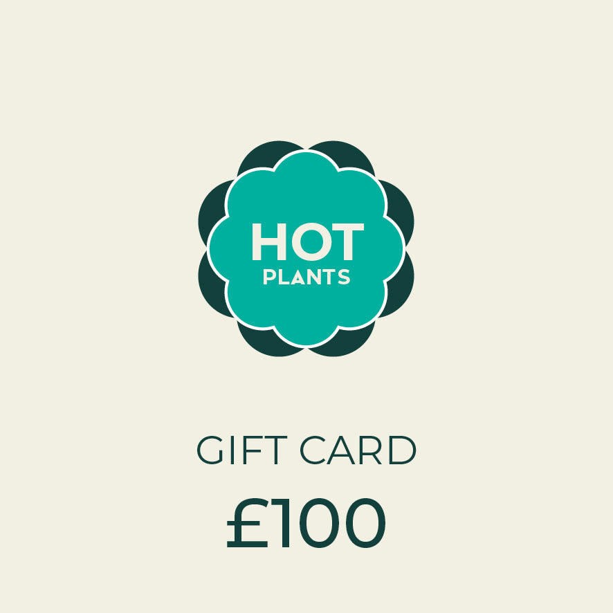 £100 Hot Plants Gift Card